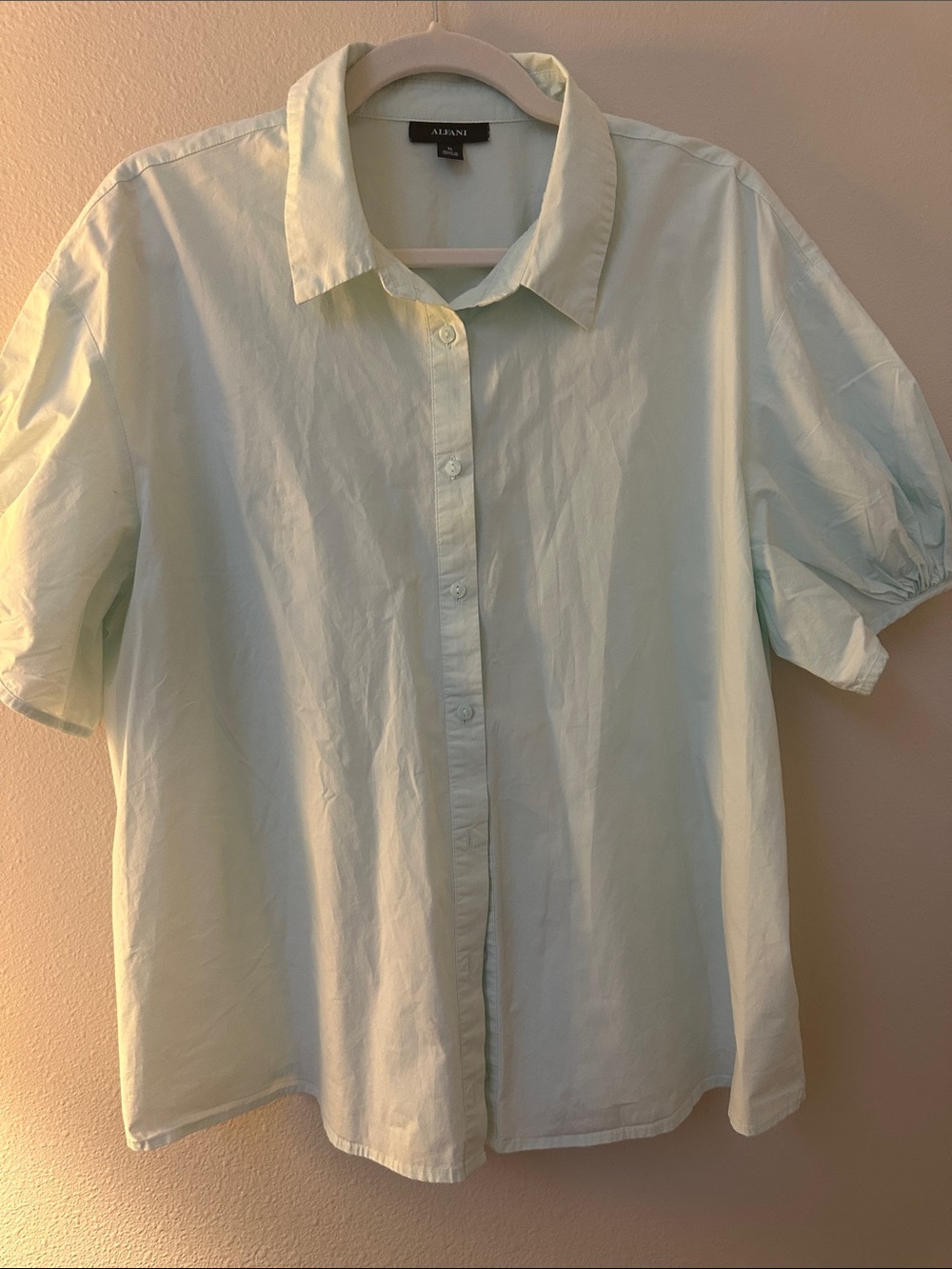 Alfani Womens XL Light Mint Button-Up Shirt